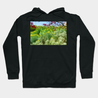 Getty Museum Gardens Study 5 Hoodie